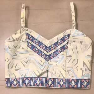 Jealous Tomato Small Aztec Embroidered Crop Top Festival